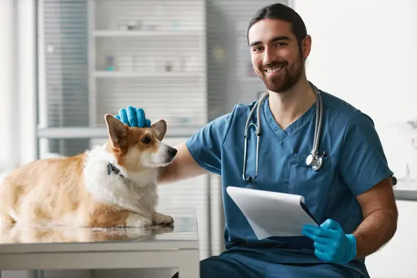 快乐的年轻兽医临床医生 脖子上带着听诊器 手里拿着医疗文件 一边检查科吉犬一边看着相机 — 图库照片
