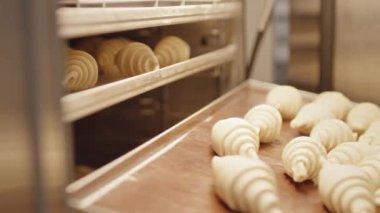 Fırıncının tanınmayan elleri fırın tepsisini mükemmel ham kruvasanlarla fırına koyuyor.
