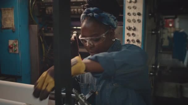 Pas Góry Młodej Czarnej Kobiety Niebieskiej Koszuli Dżinsowej Okularach Ochronnych — Wideo stockowe