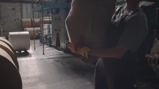 Güçlü Beyaz Bir Kadının Ağır Torbayı Omzuna Alıp Sanayi Fabrikası — Stok video