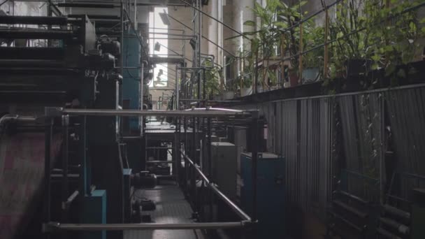 Никого Смущает Современный Промышленный Интерьер Фабрики Зелеными Растениями Машинным Оборудованием — стоковое видео