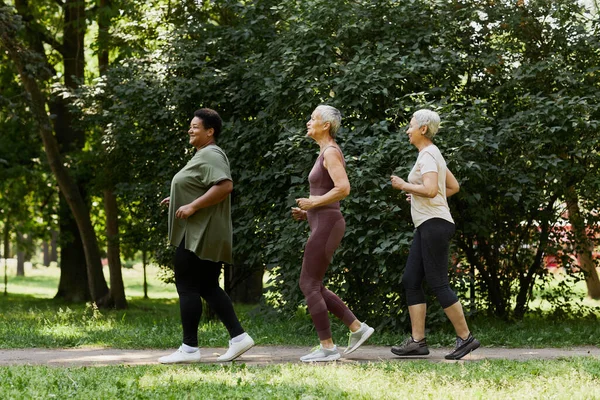 Zijaanzicht Portret Van Actieve Oudere Vrouwen Joggen Het Park Buiten — Stockfoto