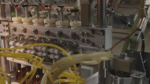 Personne Tiré Machine Remplissage Linéaire Automatique Acier Inoxydable Usine Bière — Video