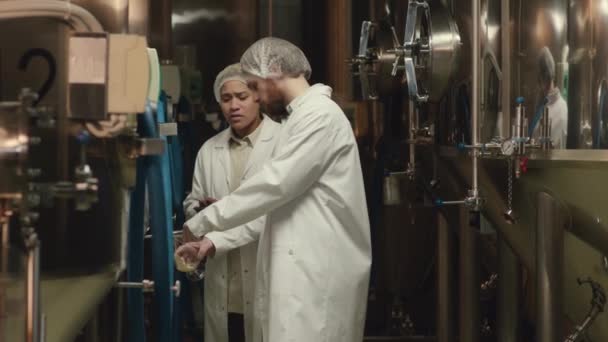 Середній Шматок Пивоварів Перевіряє Партію Свіжозвареного Пива Чоловік Наповнює Зразок — стокове відео