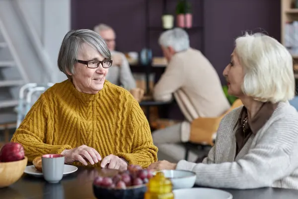 Huzurevindeki ortak odada sohbet eden iki yaşlı kadının portresi.