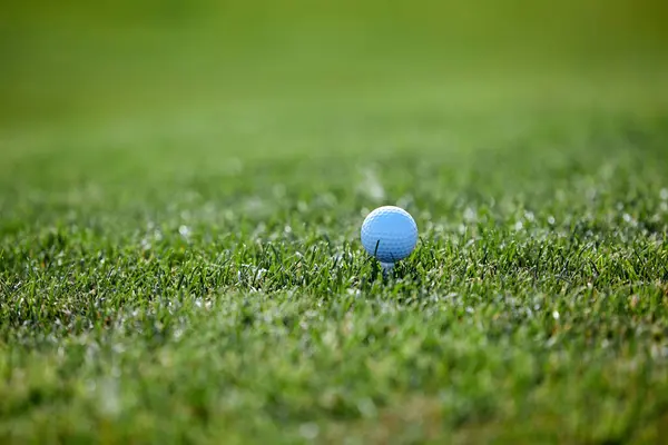 Närbild Bakgrundsbild Golfboll Grönt Gräs Solljus Kopiera Utrymme — Stockfoto