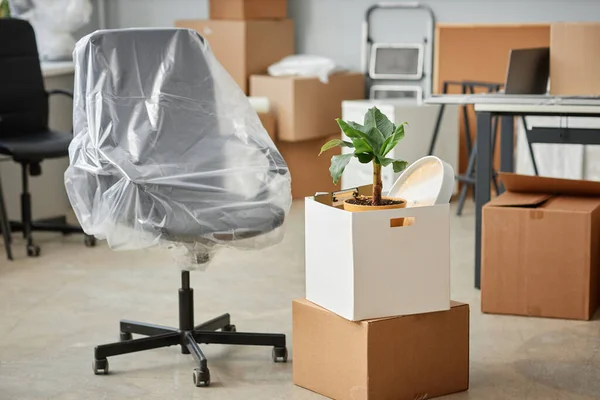 Packing furniture and other things in cardboard boxes for moving in new office