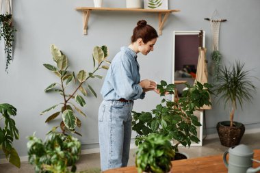 Evde yemyeşil bitkilerle ilgilenen gülümseyen genç bir kadının yan görünüm portresi.