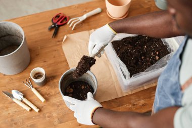 Erkek bahçıvanın kapalı alandaki bitkileri yeniden saklama ve ahşap masada taze toprak karışımı karıştırma görüntüsü.