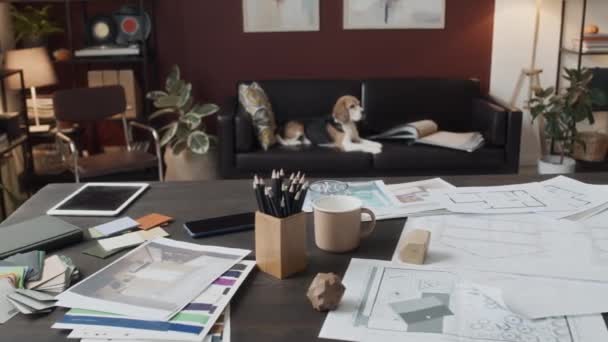 在当代室内设计家的办公室里 没有人带着猎犬坐在黑色皮沙发上 在桌子上拍摄纸质蓝图 图纸和彩色纺织品样品 — 图库视频影像