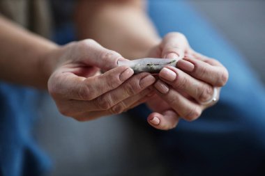 Terapi amaçlı ve tıbbi tedavi için sigara saran kadınların ellerini kapat, boşluğu kopyala