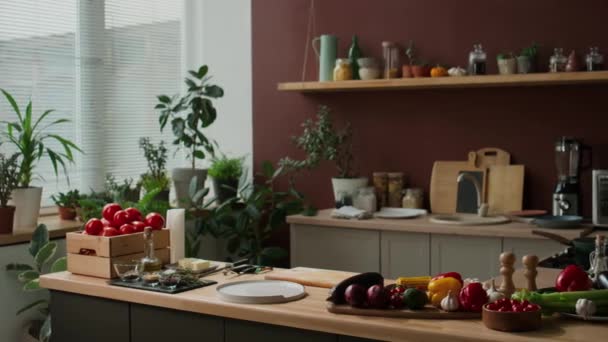 Kein Schwenk Richtung Helles Kücheninterieur Mit Grünen Topfpflanzen Auf Der — Stockvideo