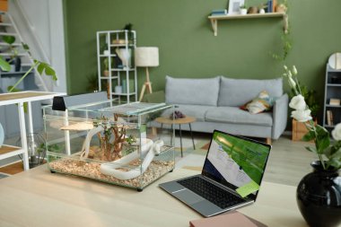 Workplace of freelancer or entrepreneur with laptop and white rat snake in transparent glass terrarium standing on desk in living room clipart