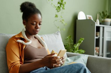 Young black woman with smartphone in hands and pet snake on shoulders and neck sitting on couch in living room at leisure and texting clipart