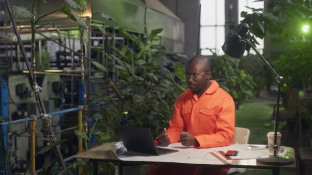 オレンジ色のオレンジ色のカバーオールの若い黒人のショットを待って 製造工場でポットグリーン植物の間でテーブルで働いている間 ラップトップでビデオ会議を開催 — ストック動画