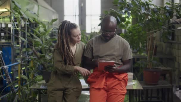 2人の若い多民族製造工場労働者がデジタルタブレットを見ながら会話をしながら背の高い緑の植物の間でテーブルの上に置いている中型ショット — ストック動画