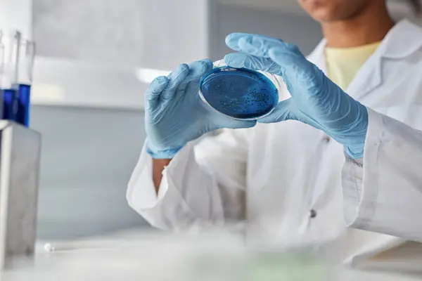 Close Female Scientist Holding Petri Dish Blue Liquid While Doing — Stock Photo, Image