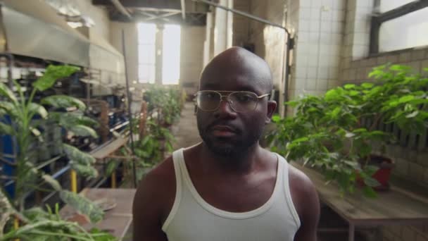 Medelstort Porträtt Ung Afroamerikansk Fabriksarbetare Undertröja Och Glasögon Som Poserar — Stockvideo