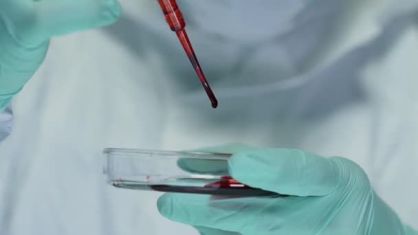 Petri Kabına Kalın Kırmızı Sıvı Damlatırken Pipet Kullanan Laboratuarda Deney — Stok video