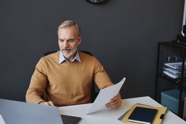 Ofiste evrak okuyan ve dizüstü bilgisayar kullanan yakışıklı bir adamın portresi.