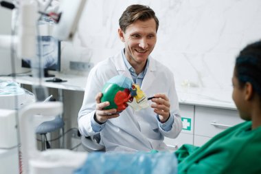 Tıbbi klinikte çalışan ve kafatası modelini tutan gülümseyen erkek dişçinin portresi.