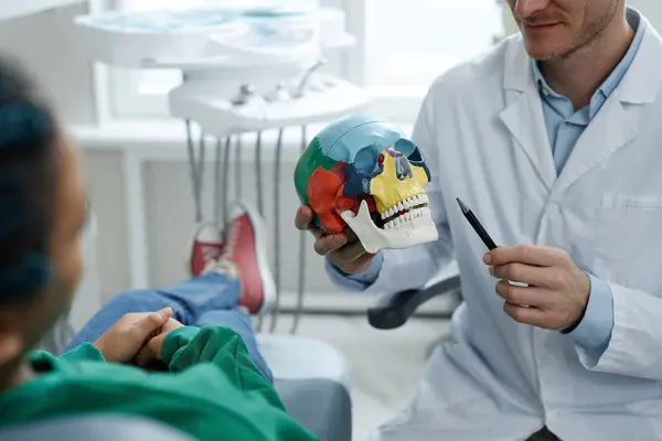 Closeup Professional Male Dentist Holding Skull Model While Consulting Patient — Stock Photo, Image