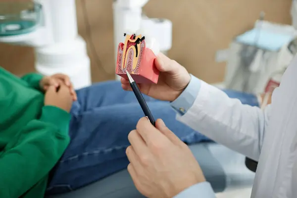 Primer Plano Del Dentista Irreconocible Apuntando Modelo Dental Mientras Consulta — Foto de Stock