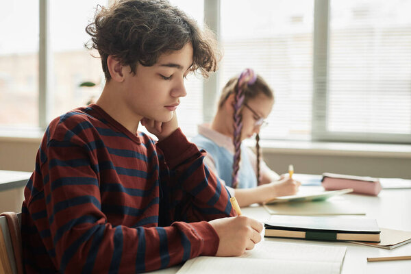 Side view portrait of teen boy with curly hair writing in notebook during school class, copy space