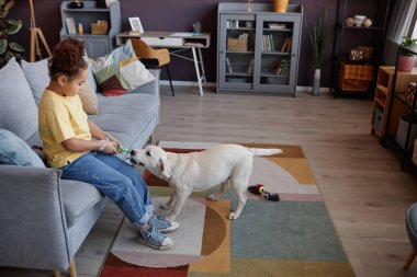 Tam boy yan manzara portresi. Genç zenci kız, Labrador köpek yavrusuyla oynaşıyor. Evin içinde.