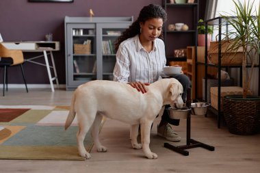 Evde yemek yiyen sevimli bir köpeğin portresi. İlgili genç bir kadın izliyor, mekanı kopyalıyor.