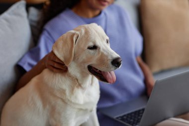 Gülümseyen beyaz köpeğin portresi kanepede oturuyor ve evde dinlenen bir kadının evcil hayvanlarıyla eğleniyor.