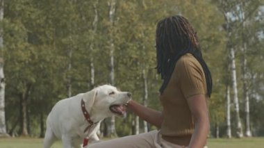 Şehir parkındaki yeşil çimlerde birlikte vakit geçirirken genç siyahi kadın sahibinin köpeğini okşamasının yavaş çekimi.