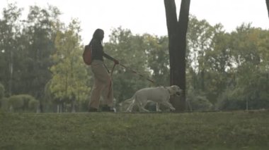 Yeşil şehir parkında köpeğiyle yürüyen Afrikalı Amerikalı genç bir kadının yavaş çekimini izliyorum.