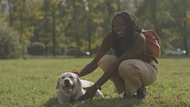 Portret Uśmiechniętej Młodej Czarnej Kobiety Dredami Kucającej Obok Białego Labradora — Wideo stockowe