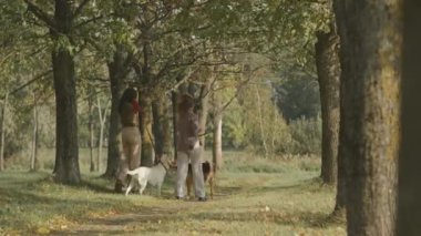 Arka planda, etnik çeşitliliğe sahip iki genç kadının yaz ormanlarında köpekleriyle yürürken tam görüntüsü var.