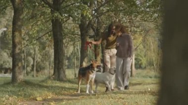 Yeşil güneşli ormanda gezinirken köpekleriyle konuşan iki çok ırklı genç kadının tam karesi.