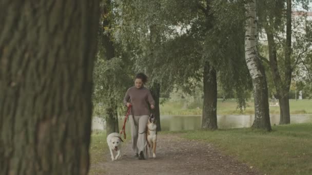 Slowmo Tiro Completo Jovem Caucasiana Com Dois Cães Andando Trilha — Vídeo de Stock