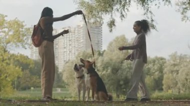 Güneşli bir günde parkın dışında boş vaktini geçiren köpeklerle dolu iki farklı genç bayan arkadaş.