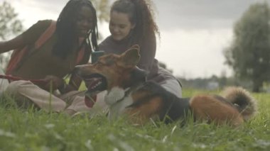 Köpekleri ile birlikte parkta yeşil çimlerin üzerinde oturmuş sohbet eden ve boş zamanlarını birlikte geçiren iki genç çok ırklı bayan arkadaş.