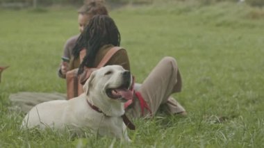 İki farklı genç kız arkadaşı ve iki köpeği birlikte yeşil çimlerin üzerinde dinlenerek parkta vakit geçiriyorlar.