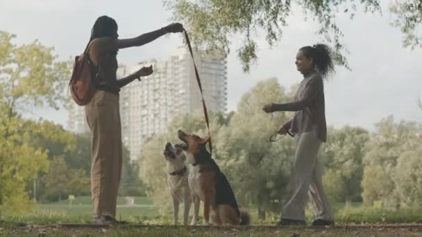 Повний Знімок Двох Молодих Різноманітних Друзів Жінок Собаками Які Проводять — стокове відео