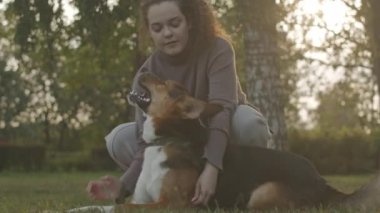 Parktaki güneşli yeşil çimenlerde köpeğiyle oynayan Kafkasyalı kızın yavaşlığı.