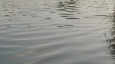 Sakin nehirden çekilen hiçbir insan ormandan yavaşça geçmez.