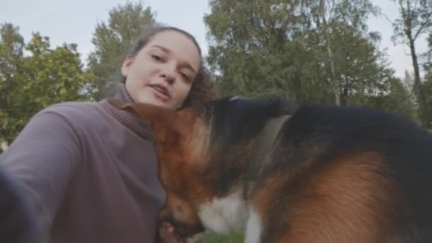 Handheld Pov Jeune Femme Caucasienne Avec Mignon Tricolore Mixte Chien — Video