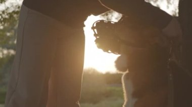 Gün batımında ormanda yürürken köpek köpeğinin ağızlık takan kadın sahibinin yavaş çekimleri.