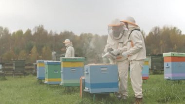 Korumalı giysiler içindeki profesyonel arı yetiştiricilerinden oluşan yavaş ekip çiftlik bahçesindeki renkli arı kovanından arıları uzak tutmak için arı dumanı kullanıyor.