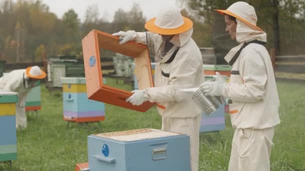 Arı Kovanındaki Arıları Sakinleştirirken Koruyucu Giysiler Içinde Arı Dumanı Kullanan — Stok video