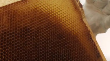 Arı kovanının çerçevesini arıcılıkta bal peteğiyle inceleyen eldivenli tanınmayan arı yetiştiricisine yakın çekim