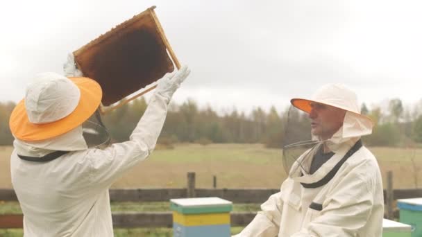 Средний Снимок Двух Профессиональных Пчеловодов Осматривающих Соты Деревянной Раме Улья — стоковое видео