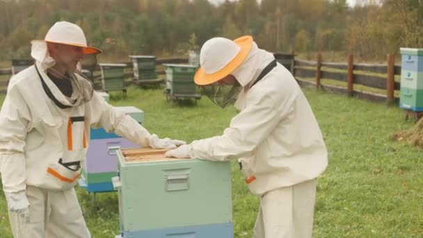 养蜂业初学者使用蜂窝工具拍摄中镜头 同时从镜框中取出走失的蜡和他的同事一起观看 在蜂窝中一起工作 — 图库视频影像